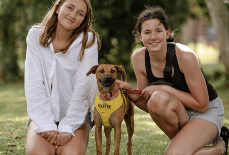 A small brown dog with a black nose wearing a bright yellow "adopt me" harness, with two teenage girls crouching down next to him and smiling for the picture.