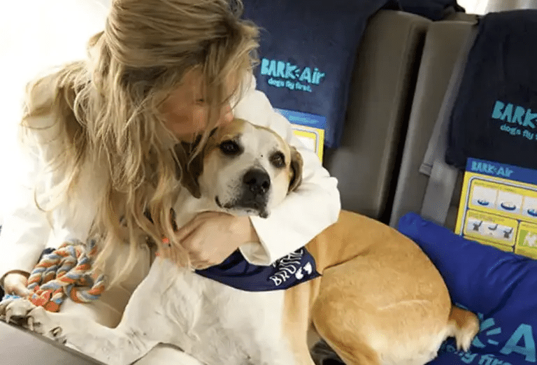 A person cuddles with their dog on a Bark Air flight.
