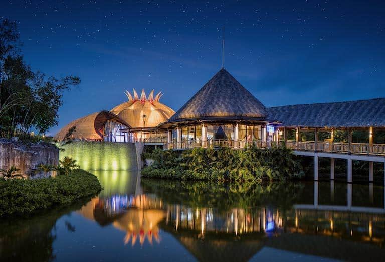 The Cirque du Soleil JOYÀ theatre at Vidanta Riviera Maya, a uniquely designed building with a thatched roof, seen at night reflected in a tranquil body of water under a starry sky.