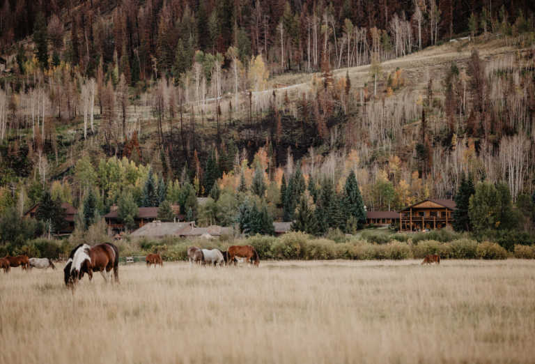 C Lazy U Ranch, horseback riding at C Lazy U Ranch, horseback riding Colorado, horseback riding Rocky Mountains
