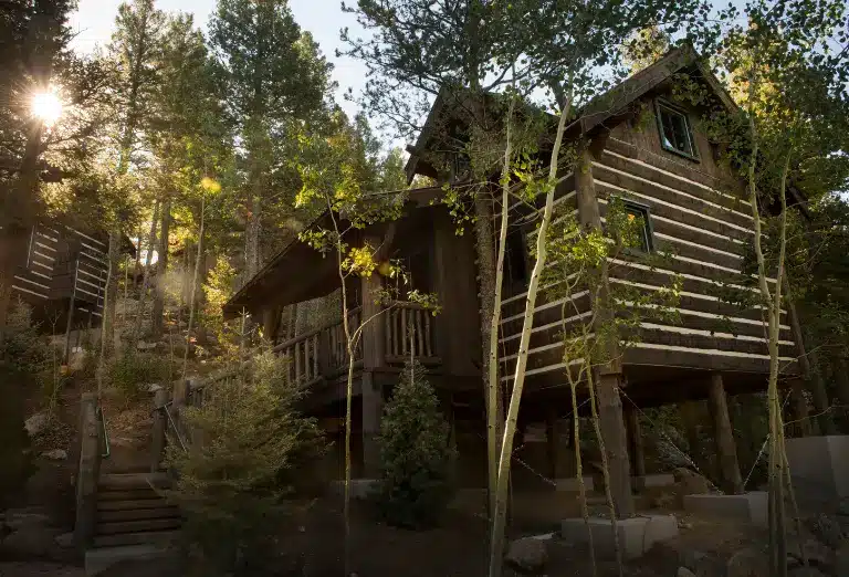 A secluded cabin nestled among tall trees with sunlight filtering through the branches.