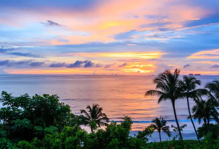 Sunset over the calm ocean and lush green rainforest in Costa Rica, with vibrant colors reflecting in the tranquil water.