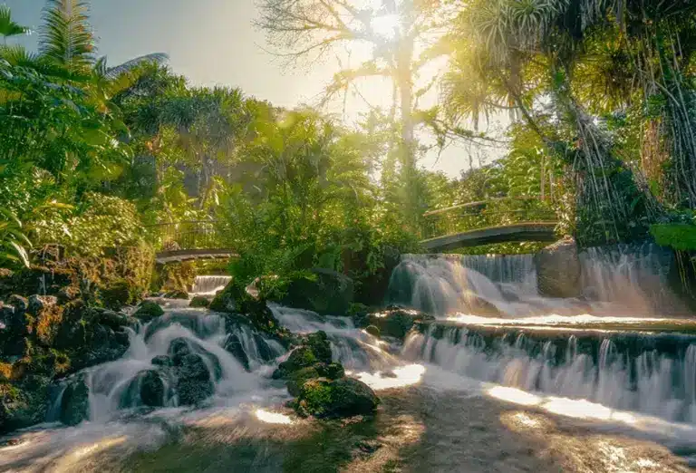 Natural waterfalls cascading into hot spring pools surrounded by lush tropical vegetation at Tabacón Thermal Resort in Costa Rica