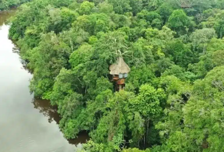 Aerial view of Treehouse Lodge in the Amazon rainforest, Peru, surrounded by dense jungle and a nearby river.