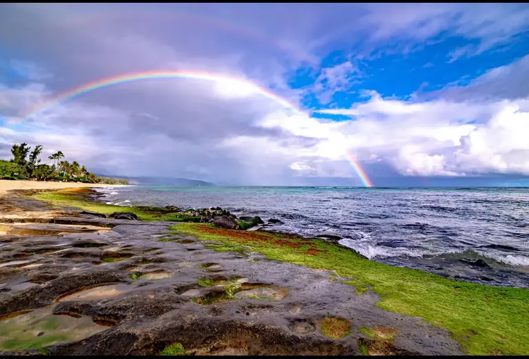 Rainbow over a rocky shoreline in Hawaii during winter, with palm trees and ocean waves.