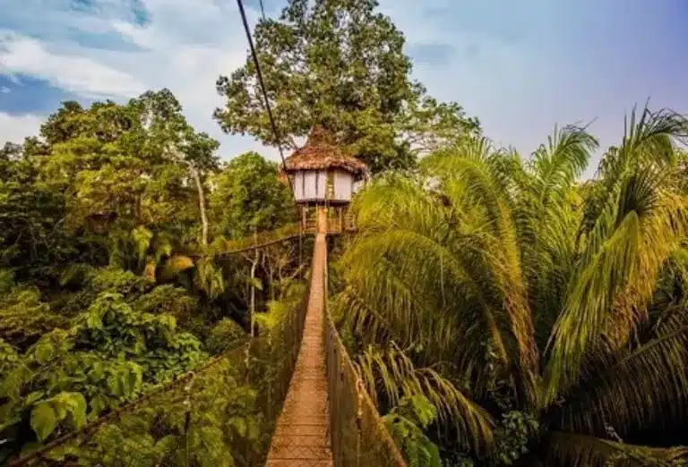 Suspension bridge leading to a treehouse in the Amazon rainforest at Treehouse Lodge in Peru – an upscale hotel experience on Journey Beyond Aspen.